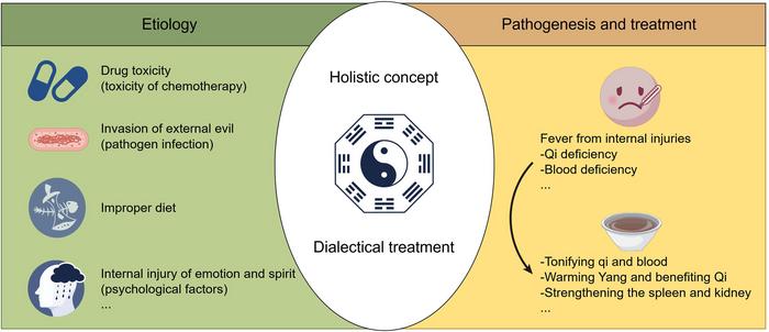 Theoretical basis for the treatment of FN in TCM