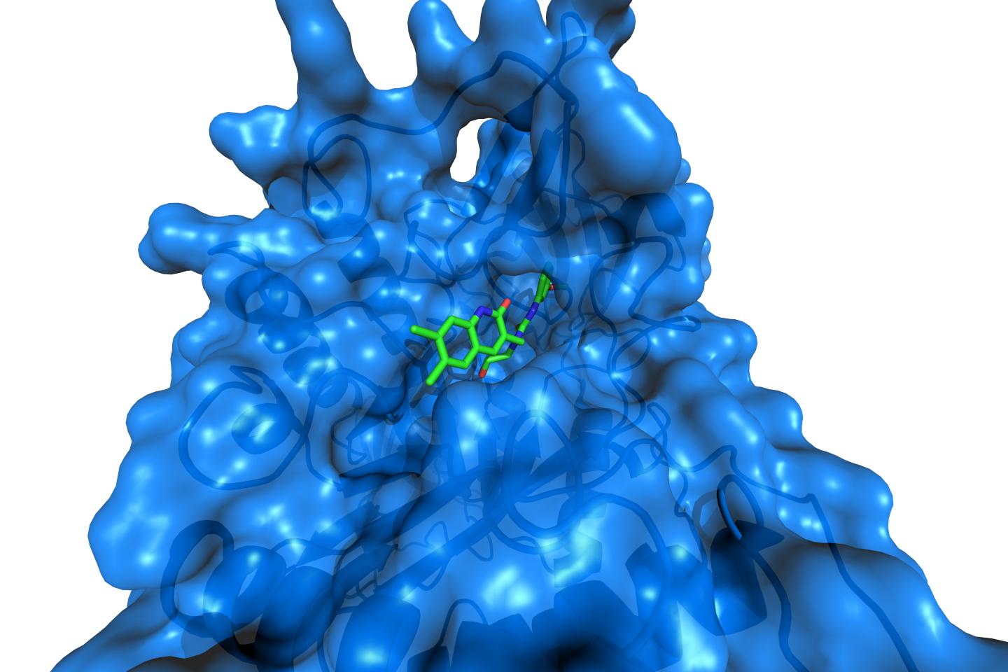 Microbiome Drug