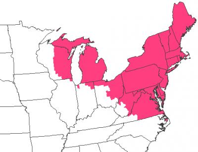 Gypsy Moth Management Made More Efficient, Cost-Effective (3 of 3)