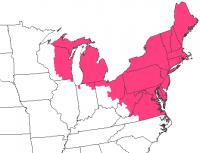 Gypsy Moth Management Made More Efficient, Cost-Effective (3 of 3)