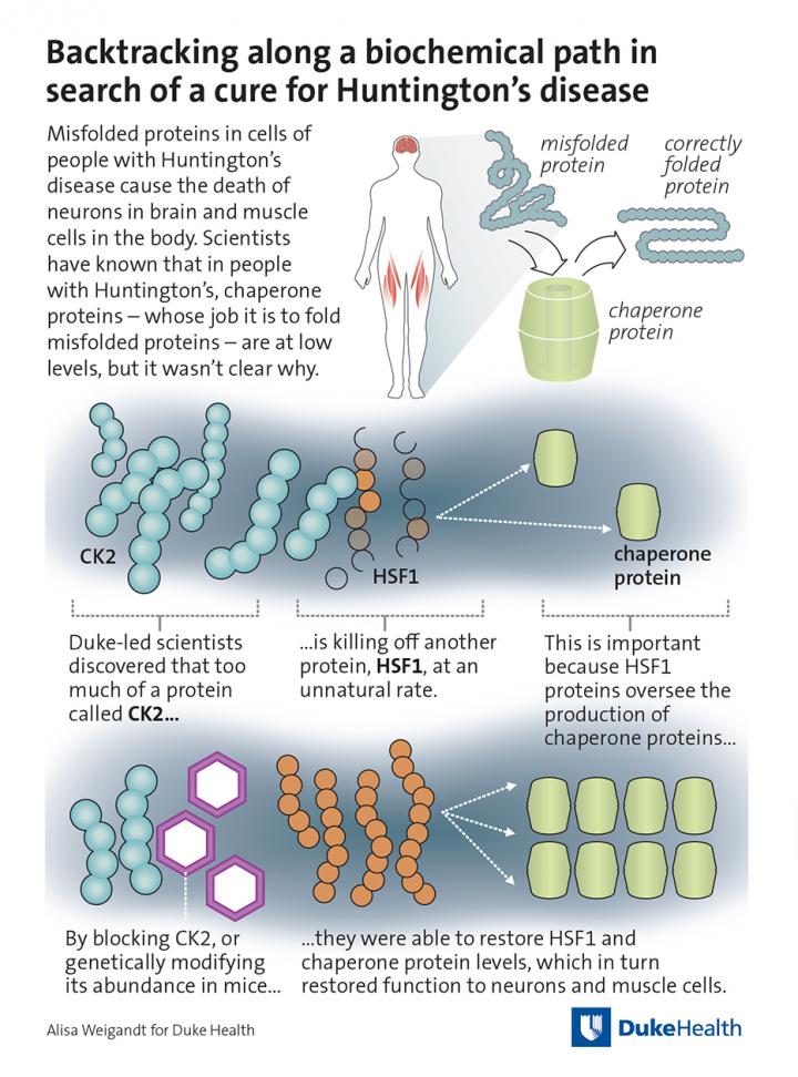 Backtracking along a Biochemical Path in Search of a Cure for Huntington's Disease