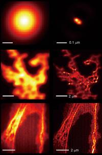 Super resolution microscope slide 3