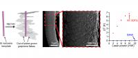 Graphene Flakes on Silicon Nanowires