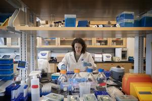 Victoria's Secret Grant Backs Cutting-Edge Ovarian Cancer Research