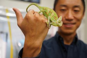 up-close-chameleon.JPG
