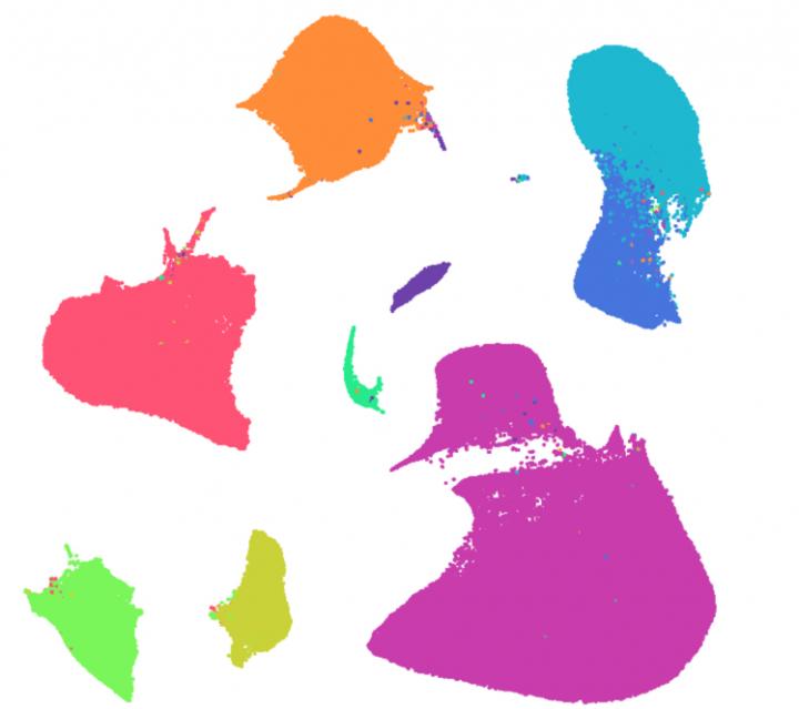 Heart atlas