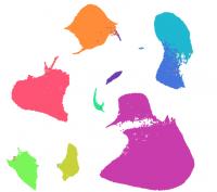 Heart atlas