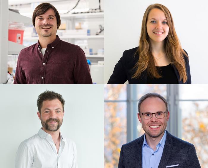The authors of the study