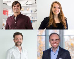 The authors of the study