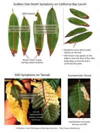 Training Materials for Citizen Scientists