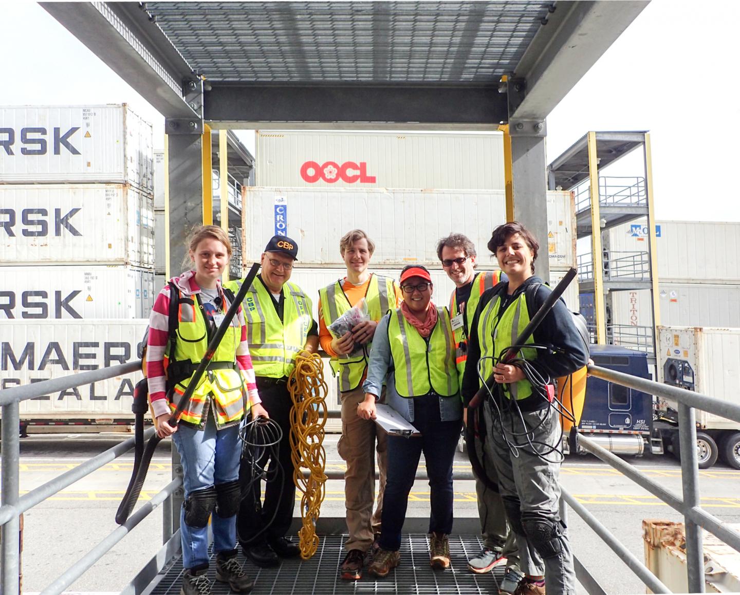 Scientists inventory nonnative plant seeds on incoming US shipping containers