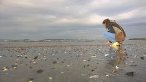 Johanna Klughammer collecting samples
