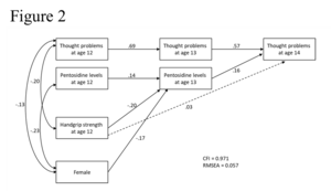 Path diagram describing the indirect effect between handgrip strength and thought problems via pentosidine.