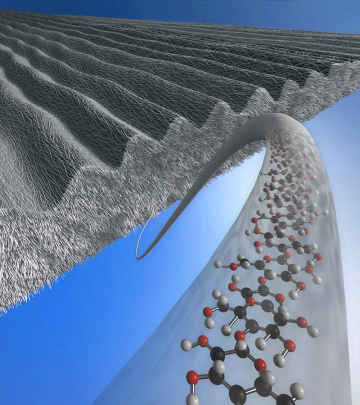 Bacterial Cellulose with Microstructured Surface
