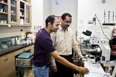 Pushpendra Singh, New Jersey Institute of Technology