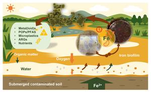 Microbial iron mining: a nature-based solution for pollution removal and resource recovery from contaminated soils