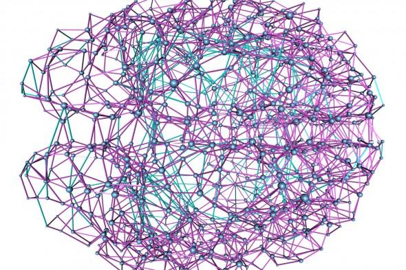 Brain's Network of Connections
