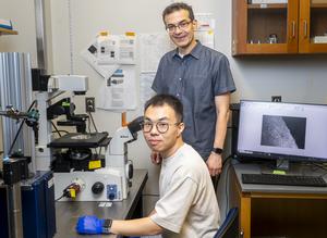 Nenad Bursac and Tianyu Wu in the lab