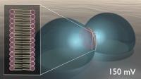 Lipid-Based Biomimetic Membrane