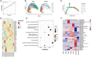 Neutrophil-7 and CD8 TE cells co-regulate the development of CML.