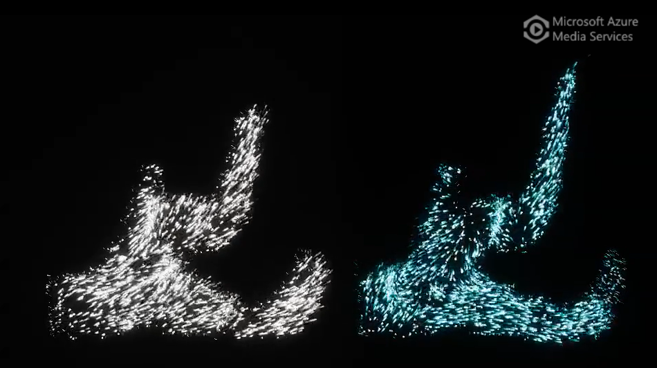 Computer model IDs roles of individual genes in early embryonic development