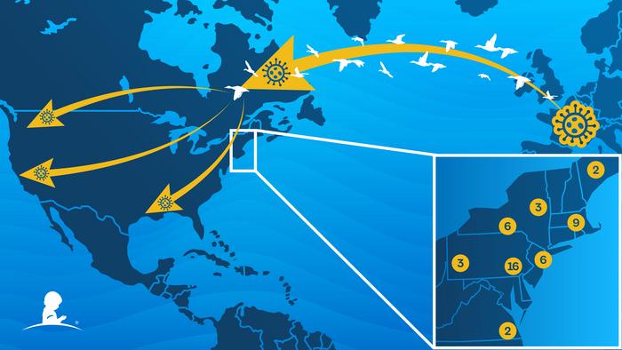 Tracking the spread of avian influenza