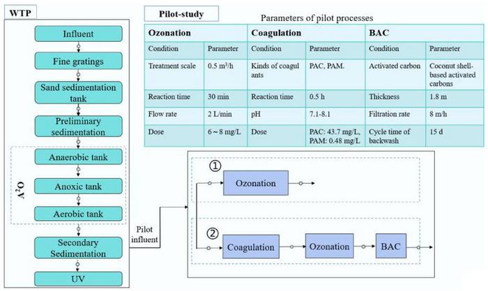 Main treatment processes and parameters in the WWTP and the pilot plants.
