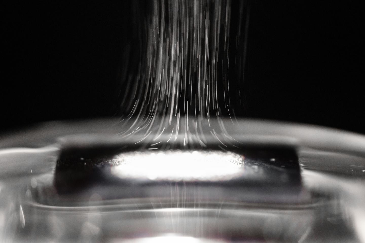 Cellulose Based Steam Generator Low