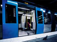 A Pigeon Taking the Subway instead of Flying
