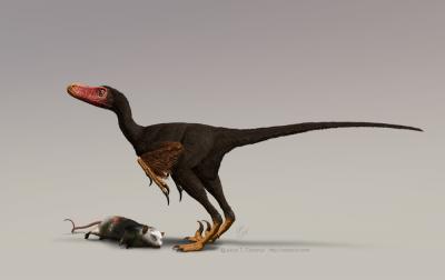 Bambiraptor and Small Mammal