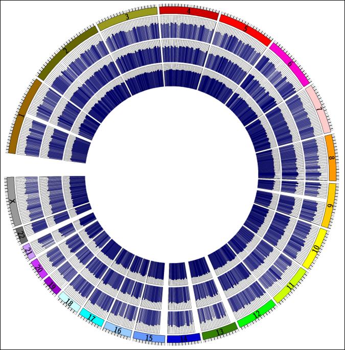 Colon Cancer Epigenome