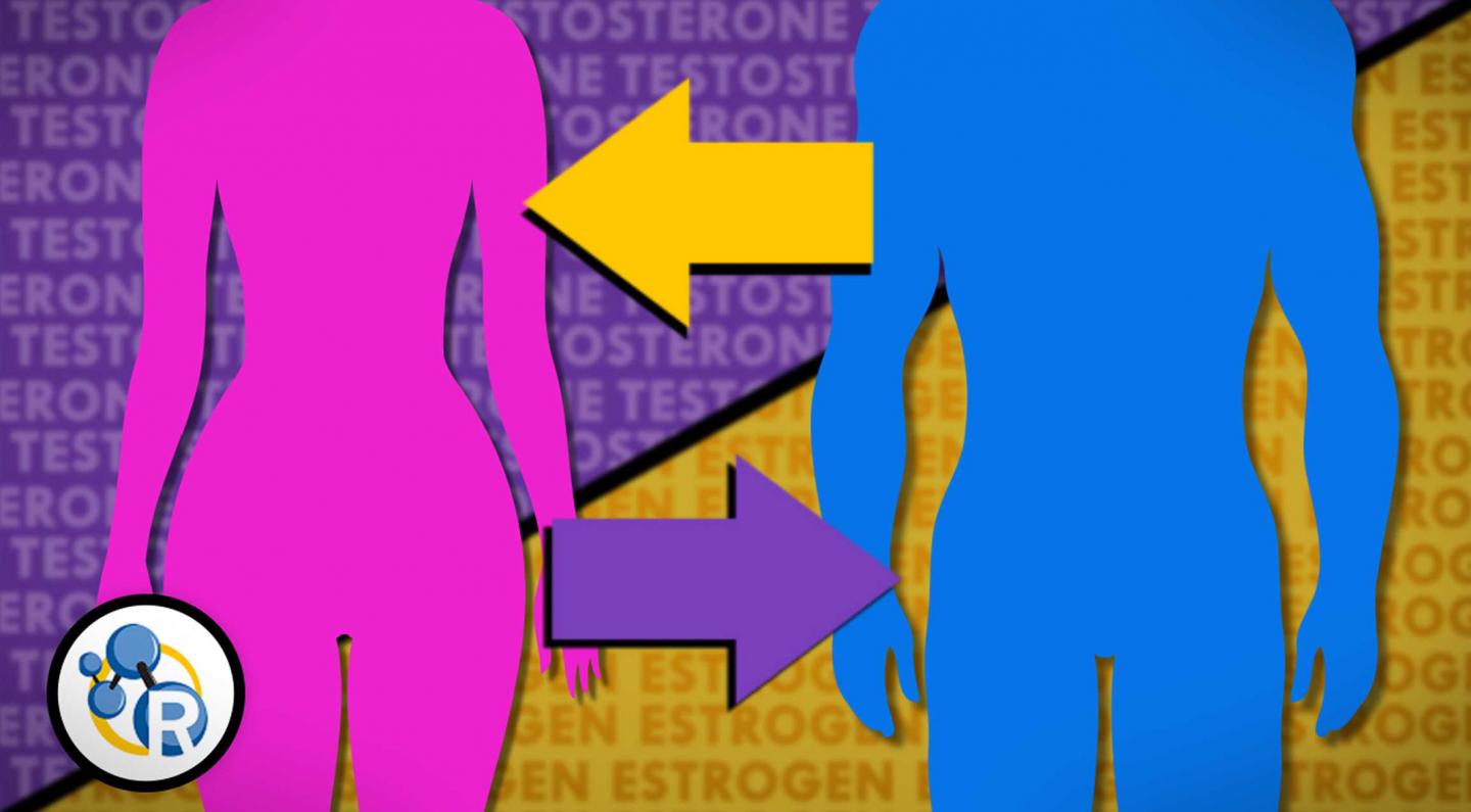 The Chemistry of Gender Transitions
