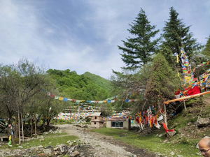 Wood resources in the northeast Tibetan Plateau