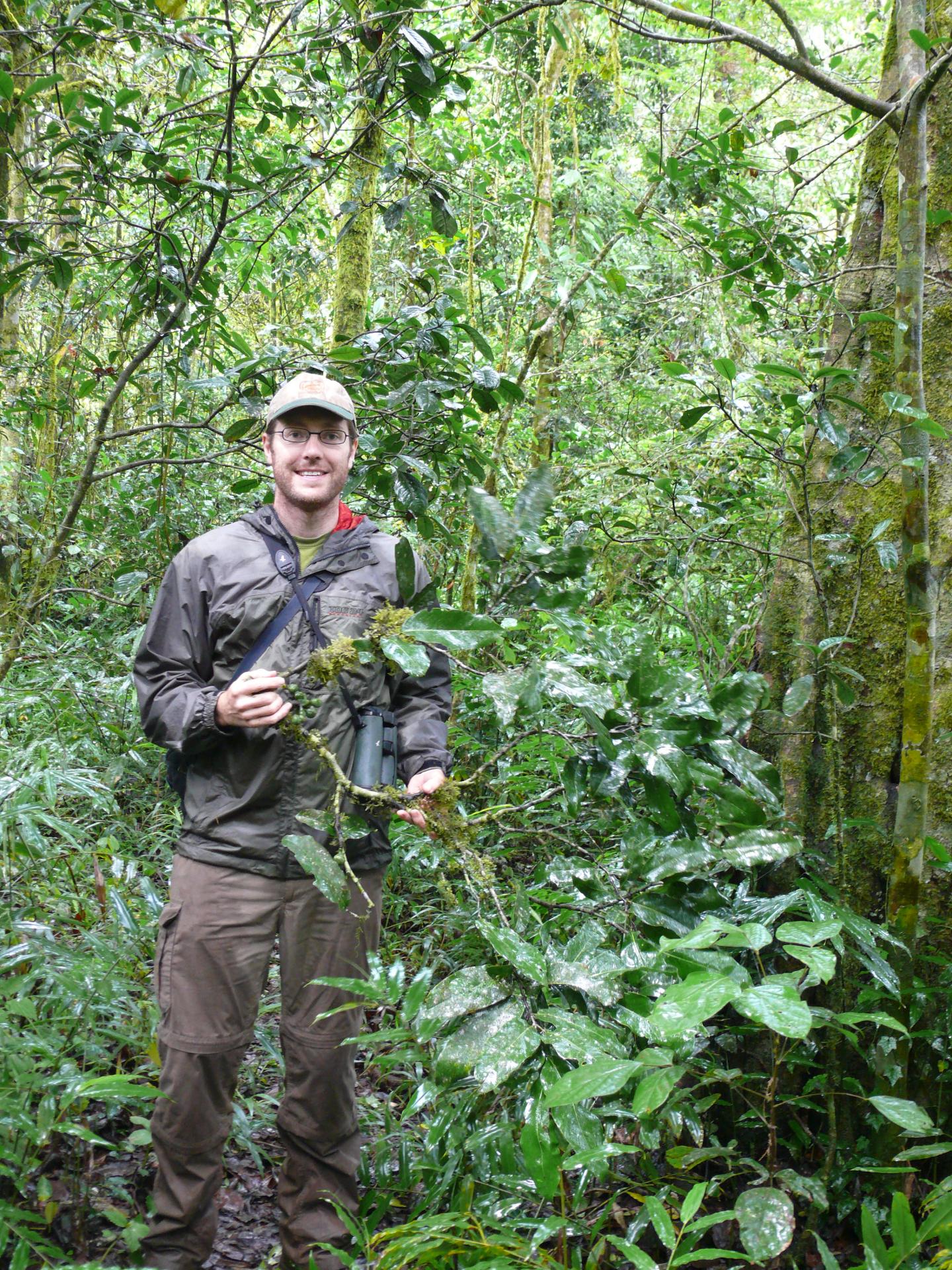 Tanzanian Forests