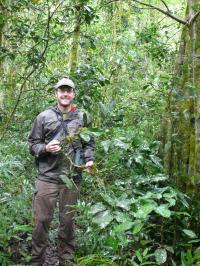 Tanzanian Forests