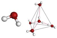 Water Molecules
