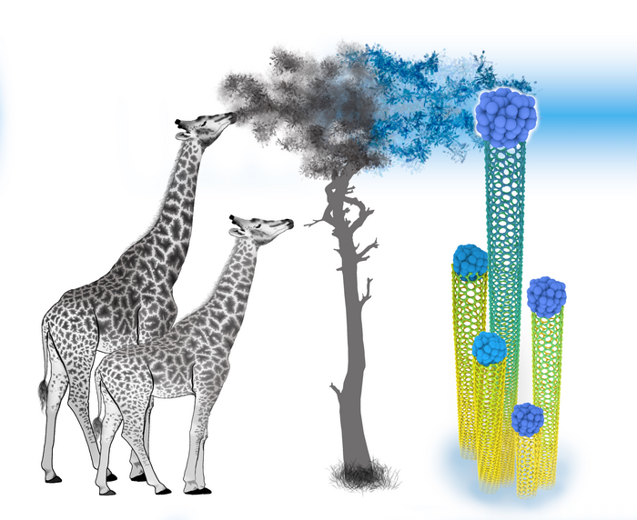 NANOTUBES 2