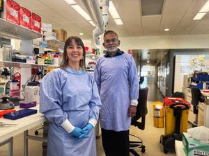 Why ‘being squeezed’ helps breast cancer cells to thrive
