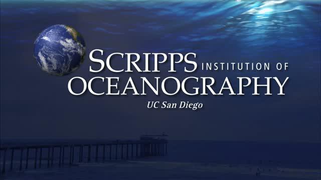 Sponge Host Bacteria