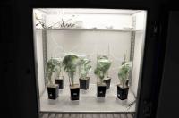 Experimental Set-up