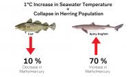 Temperature Increase and Population Collapse