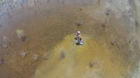 Hurst soil sample