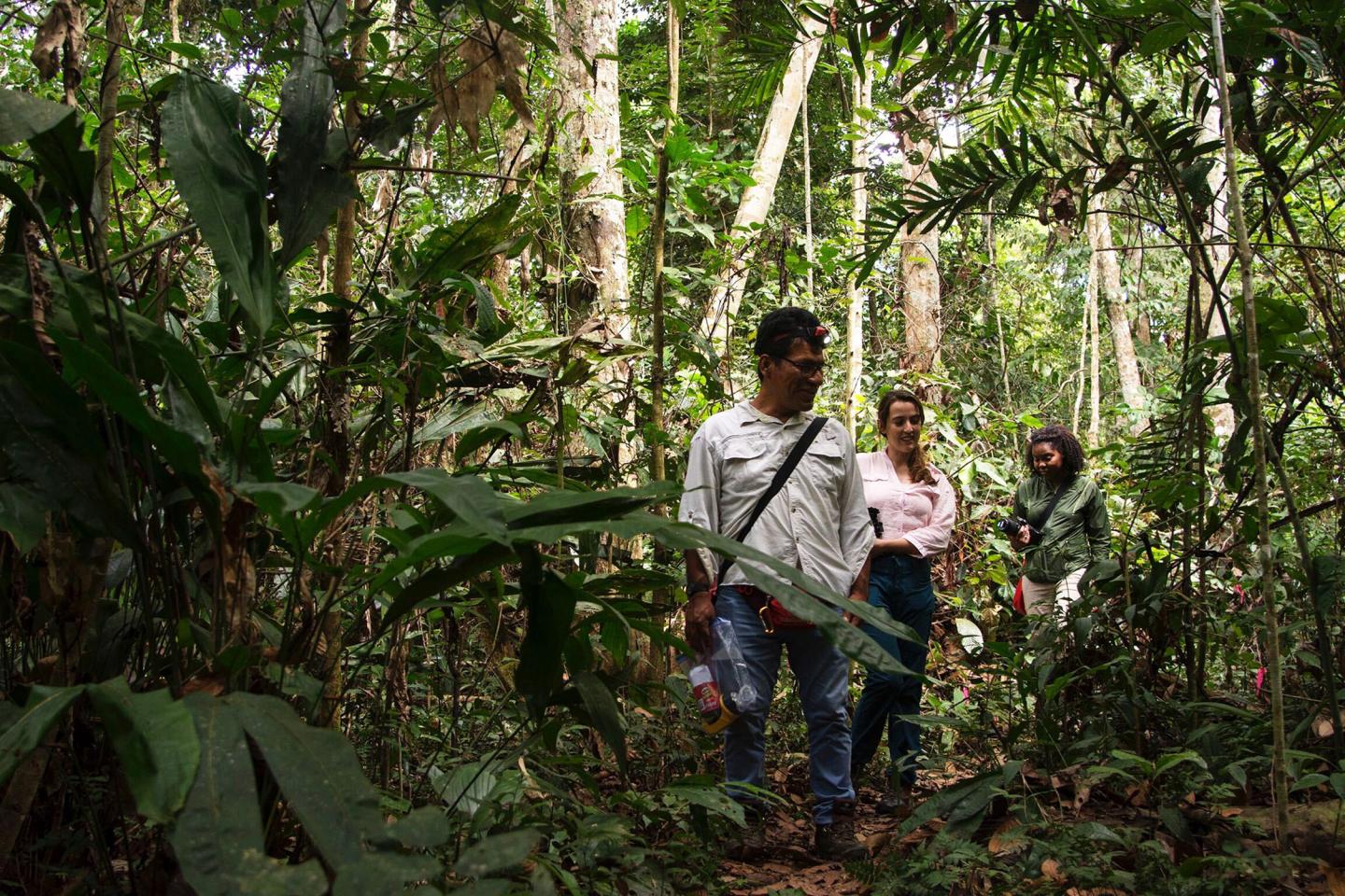 Researchers Traveling to Study the Slingshot Spider