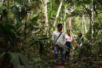Researchers Traveling to Study the Slingshot Spider