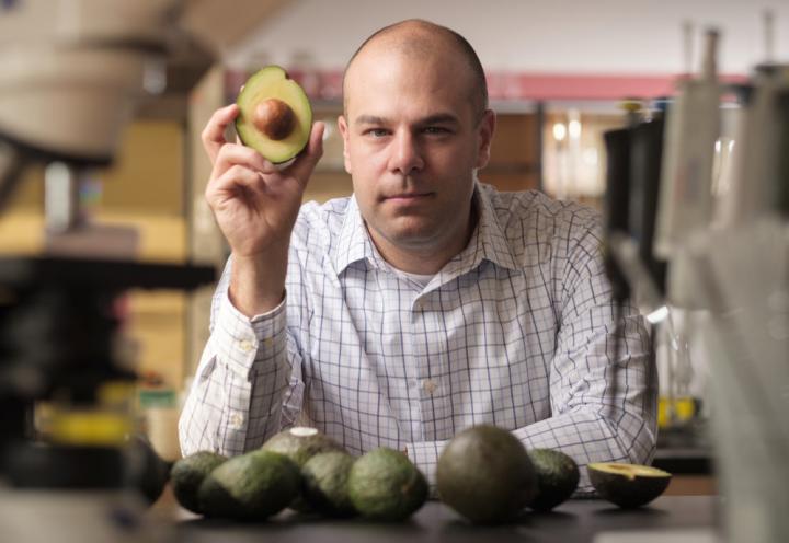 Prof. Paul Spagnuolo