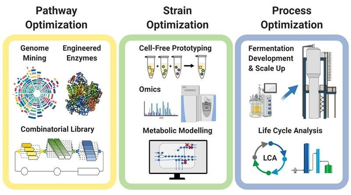 Recycling Greenhouse Gases with Biotechnology