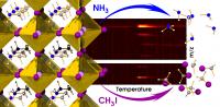 Decomposition of MAPbI3 Perovskite Films