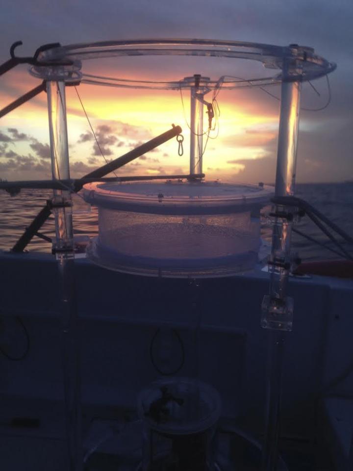 DISC Chamber
