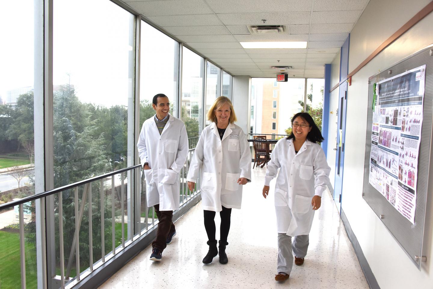 New Target Could Help Protect Vision Following Optic Nerve Trauma