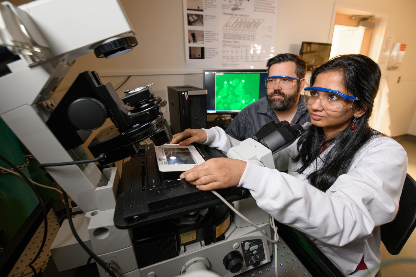 Studying cell G protein signaling